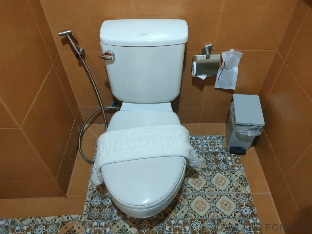 ジ・オールド・イン 宿泊レビュー ウドンタニ