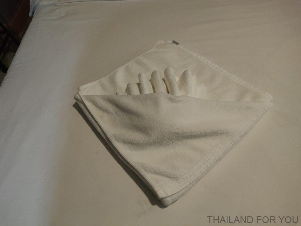 ジ・オールド・イン 宿泊レビュー ウドンタニ